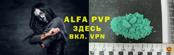 спайс Арсеньев