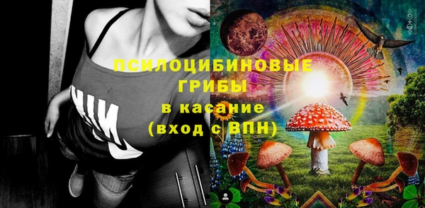 стафф Армянск