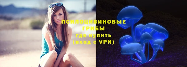 стафф Армянск