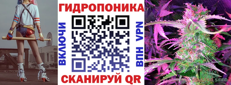 закладка  Бавлы  Каннабис семена 